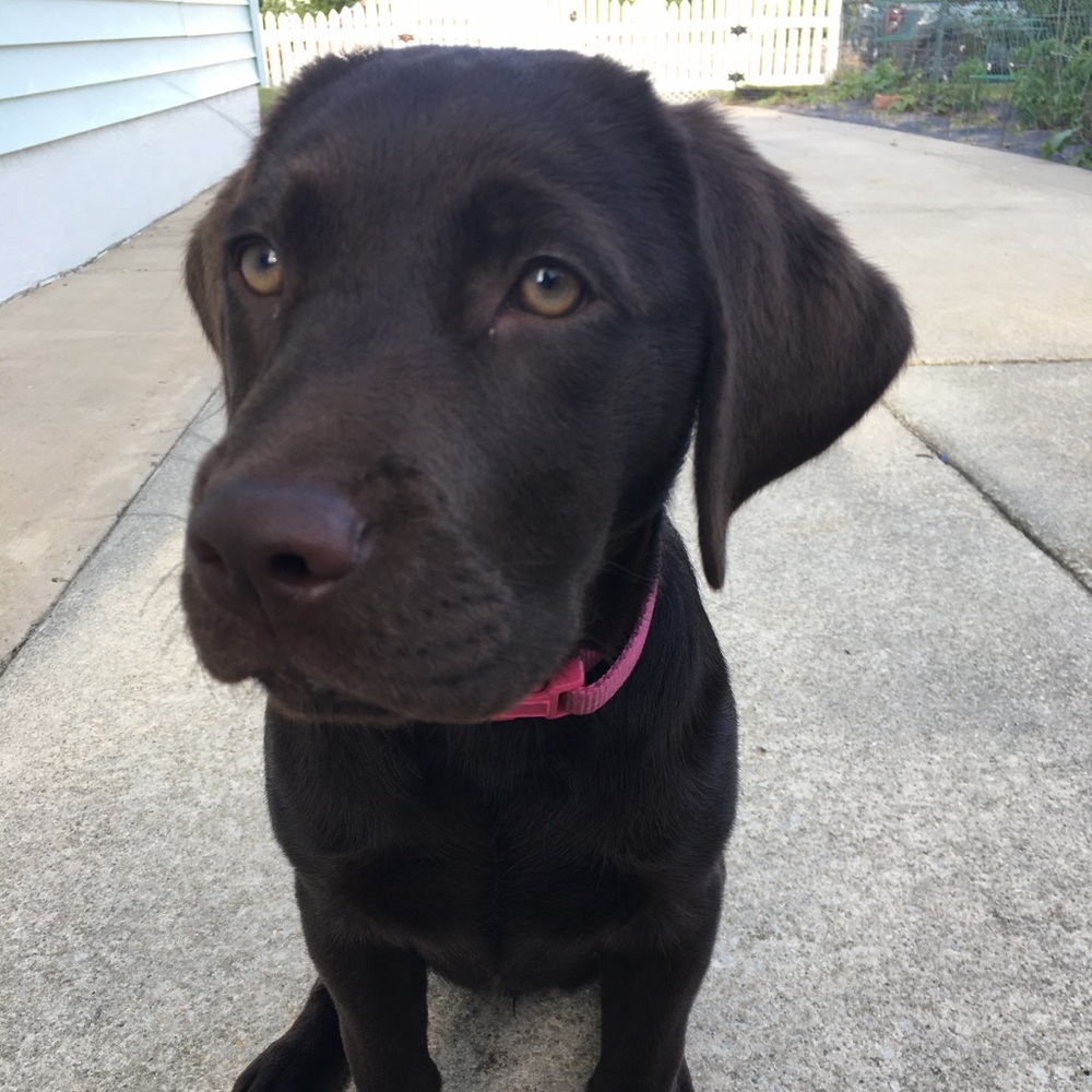 Meet your Posher, Emily